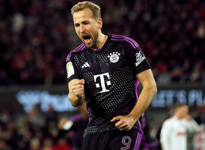 体系也逐步 体系也逐步