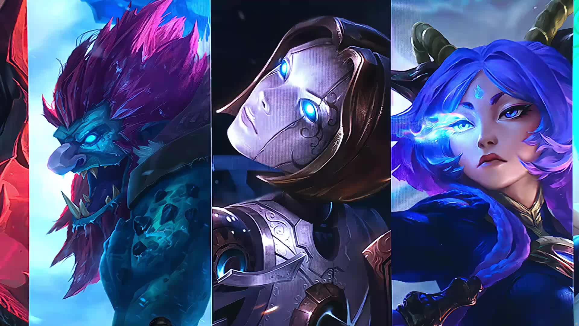 球员健康高 球员健康高